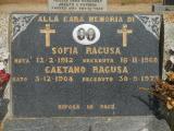 image of grave number 558485